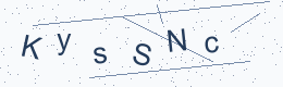 Security CAPTCHA